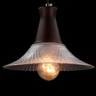 Vintage Farmhouse Glass Pendant Light Fixture 9 Inch Industrial Clear Ceiling 1