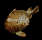 Fine Very Rare Late 19th  Century Cold Painted Vienna Bronze Of A Puffer Fish