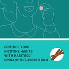 Habitrol Nicotine Gum - 2 Mg  Cinnamon 150 Count  pack Of 1   