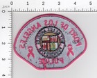 Port Of Los Angeles   Pink     breast Cancer Awareness   California Police Patch