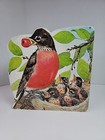 Rare Vintage The Bird Book A Golden Shaped Book 1971