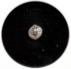 Ionia  Ephesus  Silver 1 64 Stater  5th Century Bc  Bee  Ngc Fine