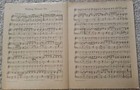  rare   Wedding Blossom Sue  By Pearl Annette Witt   Sheet Music 1918