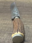 Vintage Solingen Germany Ss  Knife Antler Handle Etched Deer  August Kullenberg