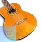 Takamime No 32fh Takamine Classical Guitar