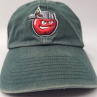Fort Wayne Tincaps Hat Fitted Xl 47 Brand Twins Franchise Green Milb Baseball