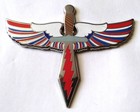 Grateful Dead Pin Vintage 2016 Obsolete Sword Wings Furthur And Company Obscure