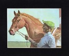 Thoroughbred Horse Print - Custom Matted - 1951 Illustration By Wesley Dennis