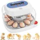 12 18 20 24 Eggs Digital Incubator With Fully Auto Egg Turning Humidity Chicken