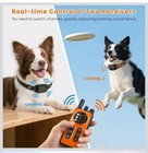2 Dog Training Shock Collar  3300ft Remote  Beep Vibration Light  3 Modes  Fits
