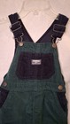 Oshkosh B gosh Green Blue Cordury Cotton Overalls Size 3t 3a