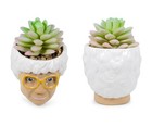 The Golden Girls Sophia Face Mini Ceramic Planter With Faux Succulent   3 Inches