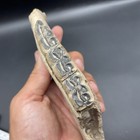 Horse Jaw Fossil Bone Valley Florida Museum Grade Specimen