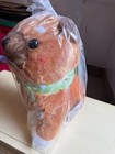 Amuse Mameshiba Brothers Evening Cool Ver Big Plush