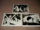 Ralph Bakshi s Heavy Traffic Original 1973 Pressbook   Set Of 3 Glossy Stills 