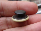 Antique Rare Dentist Dental Convention Attendee Lapel Stud Penna  1896