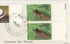 1969 Papua New Guinea Airmail Cover To Usa W  Frog   Shell Definitives Angoram