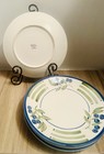 Set Of 4 Daily Dining Blue Berry Dinner Plates