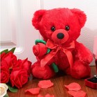 Civaner Bear Stuffed Animal Gift With Rose Funny Cute Plush Red 