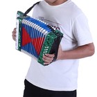 17 Key 8 Bass Piano Accordion  Ideal Musical Instrument For Beginners And Stu   
