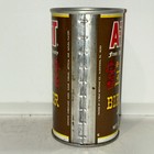 A-treat Draft Birch Beer Soda Can