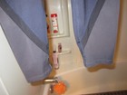 Nwot Women s Active Wear Capri Pants Tangerine Size M Black gray Colors