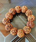 Seven 7 Mukhi Rudraksha Bracelet Nepal Beads Certified Yoga Energized