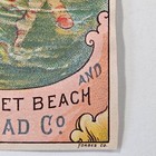 Victorian Trade Card Boston Hingham Steamboat Co   Nantasket Beach Rr Schedule