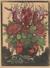 Margaret Preston   Illawarra Lilies And Waratahs    Modernist Bouquet Art Print