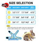 Cute Rabbit Harness Leash Set Breathable Mesh Vest Adjustable Bunny Guinea Pig