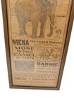 Very Rare Early 1880s M l clark   Son   s Animal Shows - Circus Poster 25x10 1 2