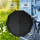 Automatic Black Umbrella Anti-uv Sun rain Windproof 3 Folding Compact Umbrella