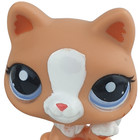 Lps  2095 Tabby Cat Littlest Pet Shop 2010 Orange Gen 3 Blue Eyes Special Ed Vg