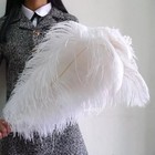 Wholesale 10 50 100pcs Ostrich Feathers 6-28inches 15-70cm For Wedding Party