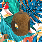 2114 Three Hole Coco Nest Hut Parrot Cage Toys Cages Conure Cockatiel Budgie Pet