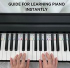 Piano Notes Guide For Beginner  Removable Piano Keyboard Note Labels For Learnin