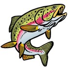 Rainbow Trout Fish Sticker Cooler Laptop Boat Car Vehicle Window Bumper Decal