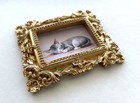 Sleeping Cat Framed Tiny Miniature Mini Art Print Gold Ornate Frame Not Aceo