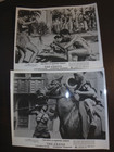 the Arena  Pam Grier 1974 Drive- In Exploitation Original Still Set 