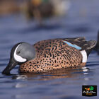 Avery Outdoors Greenhead Gear Ghg Pro Grade Blue Winged Teal Duck Decoys