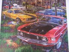 Ford Mustang Mach 1 Art 1969 1970 1971 72 351 390 428 Super Cobra Jet Track Pack