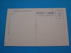 Vintage Black Americana Family Of 7 Postcard Posted