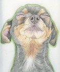 Custom Your Pet Dog Cat Art Original Pencil Drawing Portrait-11x14 -carla Smale