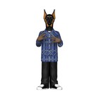 Funko Vinyl Gold  Snoop Dogg 5-inch Chase Variant  dogg Head  Rare Vinyl Figure