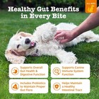 Zesty Paws Probiotics Dogs  Digestive Enzymes Gut Flora  Digestive Health