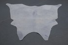 100  New Cowhide Rugs Area Cow Skin Leather  46  X 46   Cow Hide Sa-3543