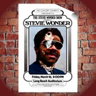 Stevie Wonder Long Beach 1973 Concert Poster 16x24 Motown Soul Tour Wall Art