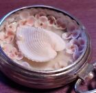 Sailor   s Valentine Art Seashell Flowers Pearls 2  Vintage Pocketwatch Made By Me