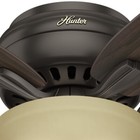 Hunter Fan 52 Inch Low Profile Premier Bronze Ceiling Fan W Light And Pull Chain