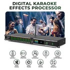 Digital Karaoke Mixer Audio Processor System With Dsp  Professional   